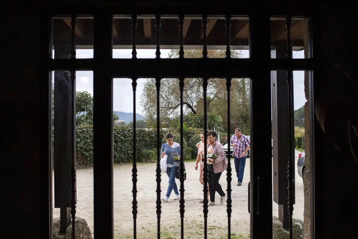 Boda en Lagar de Pintos