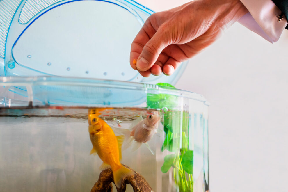 Boda en Casa Rural de Larache Visualgal (3)