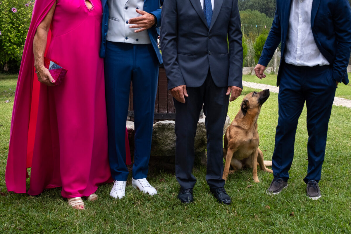 Boda en Cambados Visualgal 5