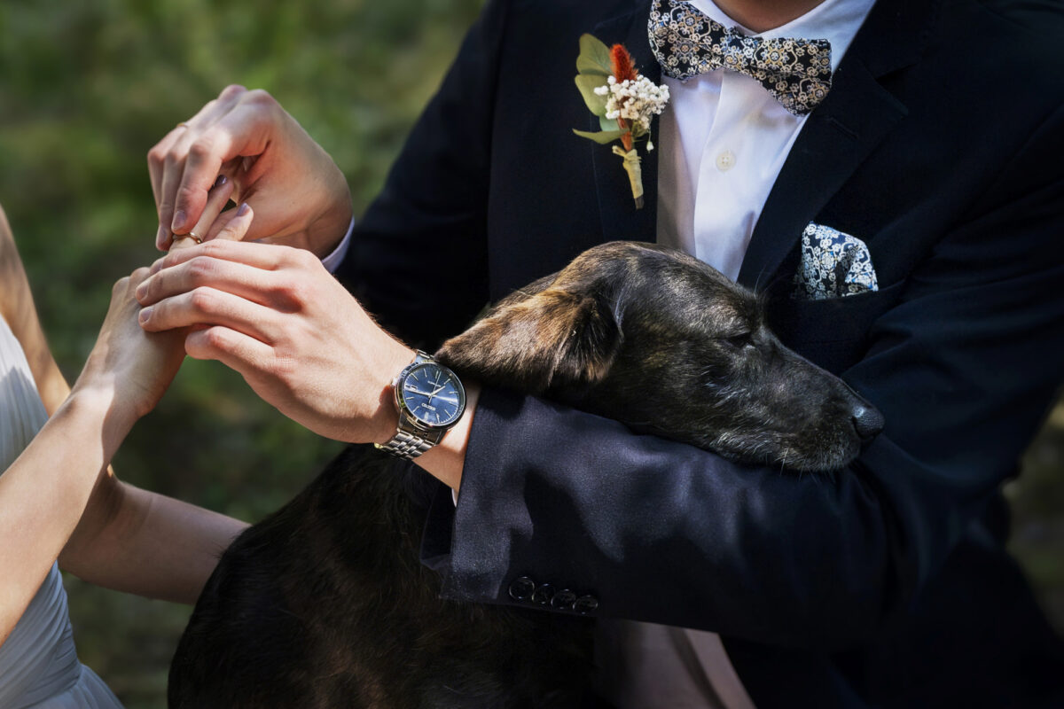 ¡Bienvenidos al mágico mundo de las bodas en Galicia!