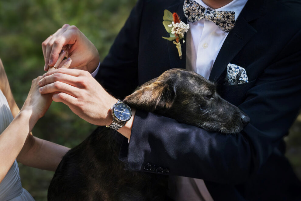 ¡Bienvenidos al mágico mundo de las bodas en Galicia!